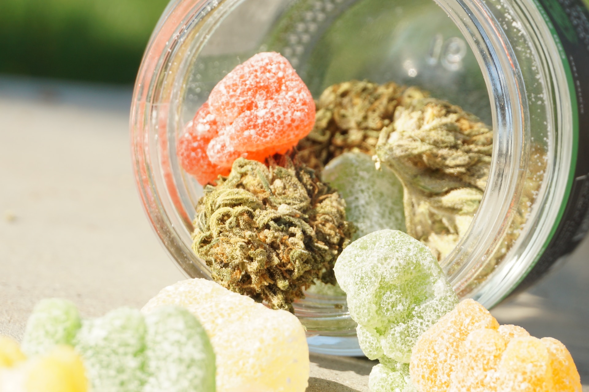 Infused Treats: How to Make Marijuana Gummies with THC & CBD